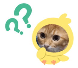 534437033