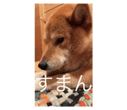534439998