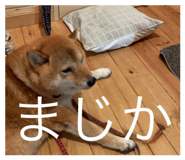 534440002