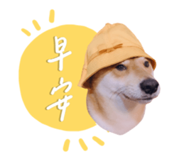 534442031