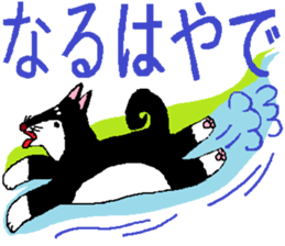 5344717
