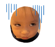 534479182