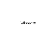 534500084