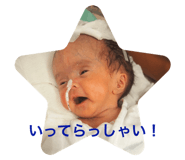 534514991