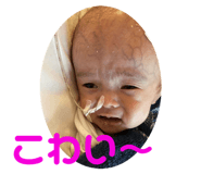 534515020