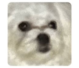 534525258