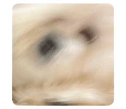 534525266