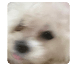 534525267
