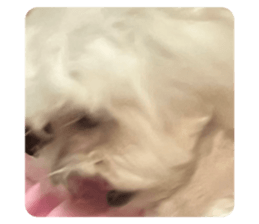 534525268