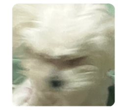 534525269