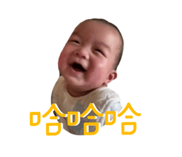 534527442