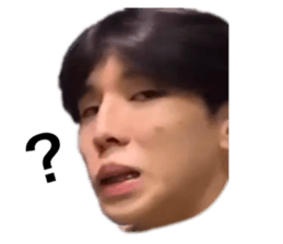 534648087