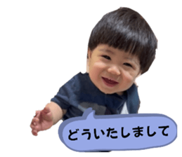 534663081