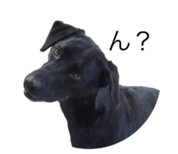 534678378