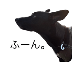 534678384