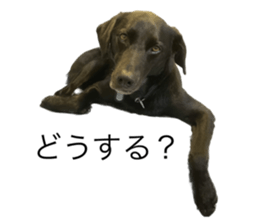 534678398