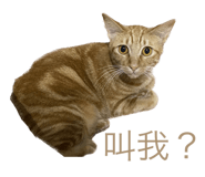 534696372