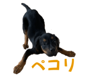 534703777