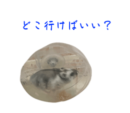 534717534