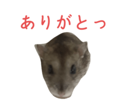 534717548