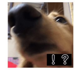 534728351