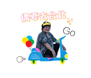 53480264