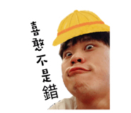 53480270