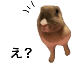 534803959