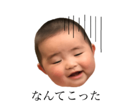 53482465