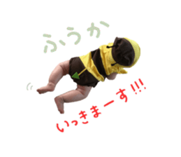 53482469