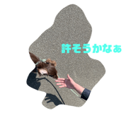 534841694