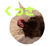 534841696