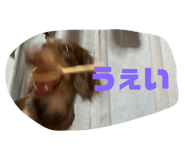 534841697