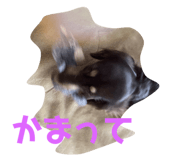 534841700