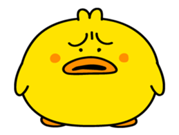 534888794