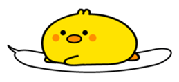 534888804