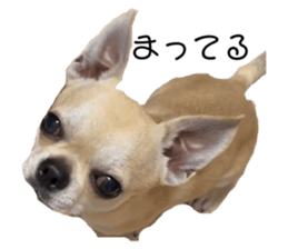 534907926