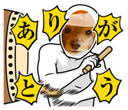 534940653