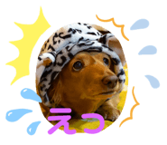 534940660