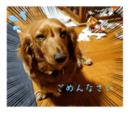 534940676