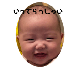 534953646