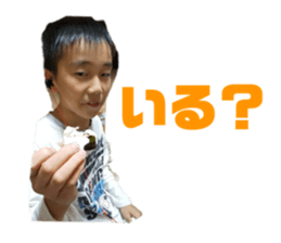 534964809