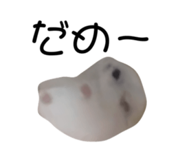 534977260