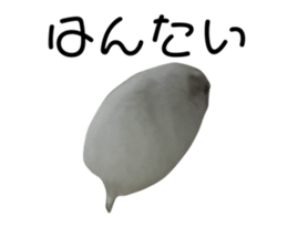 534977263