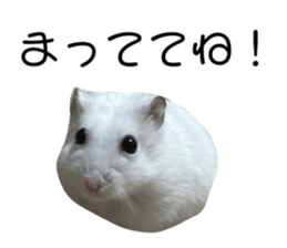 534977265