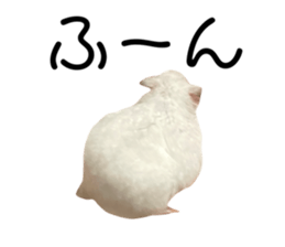 534977270