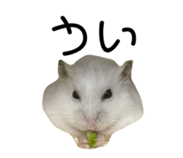 534977273