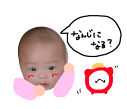 53498439