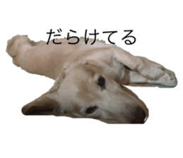 534991985