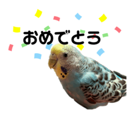 535029333